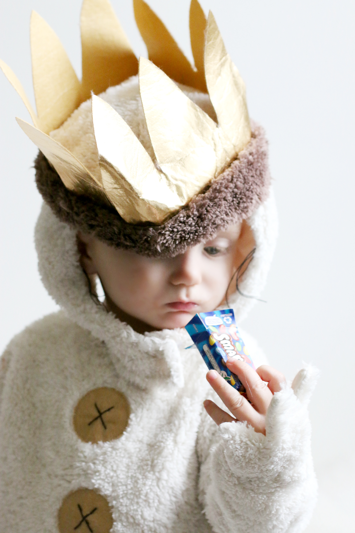 Pottery Barn Kids Costume Where the Wild Things Are