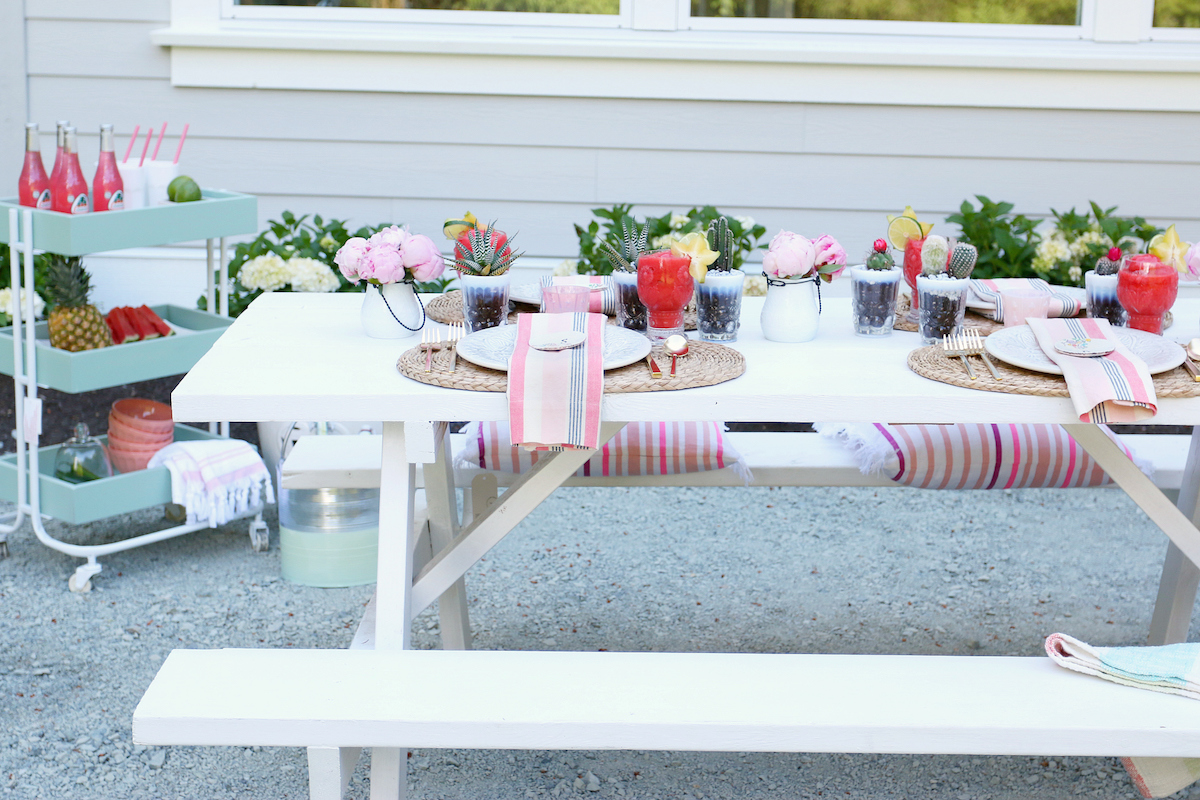 Outdoor Dinner party 