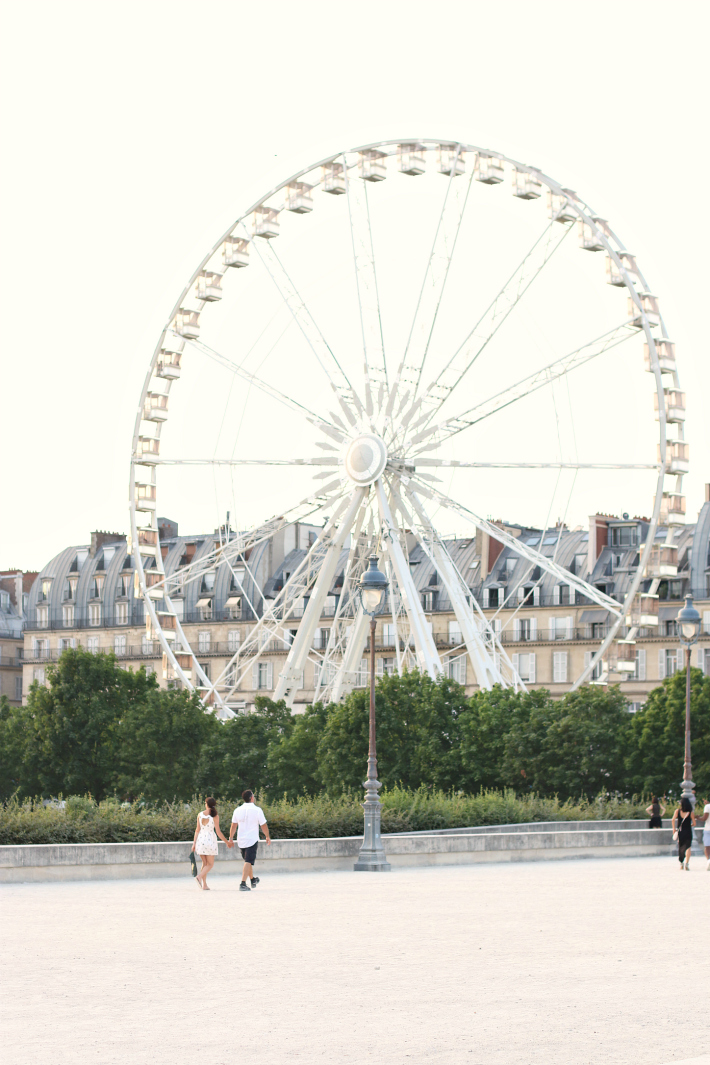 Paris Ferris Wheel 