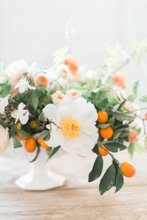 white flowers with orange buds