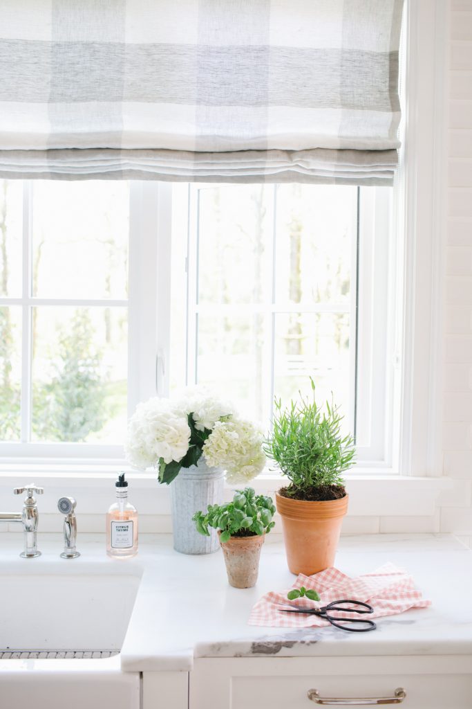 kitchen window with potted plants