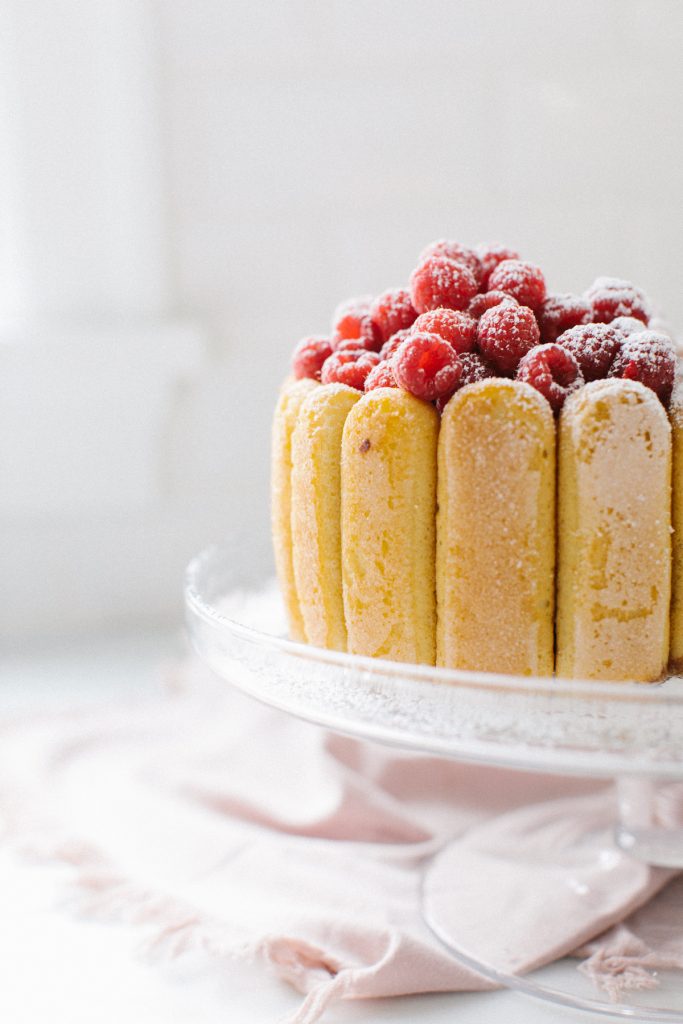 raspberry cake with lady fingers