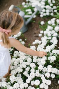 little girl picking flower