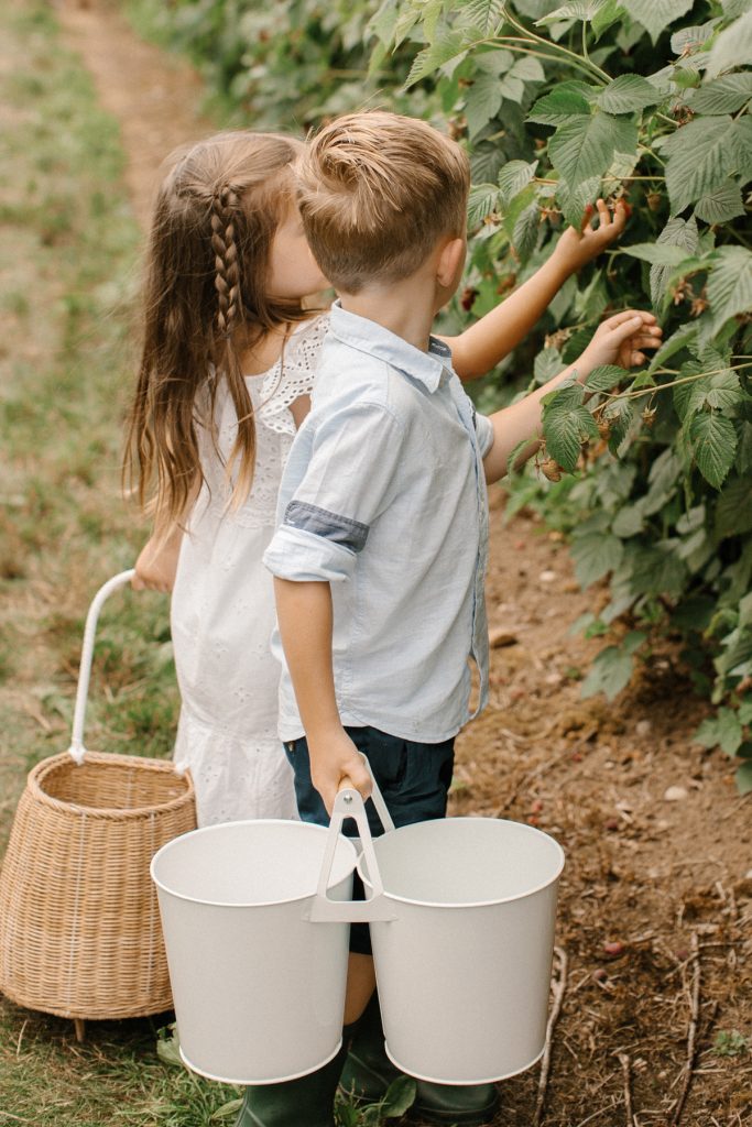 kids raspberry picking