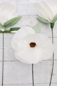 white paper magnolia flowers