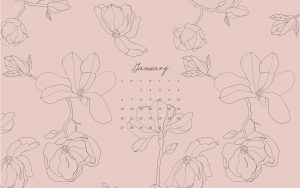 pink line art floral desktop background with January Calendar