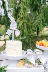peter rabbit themed cake and treats