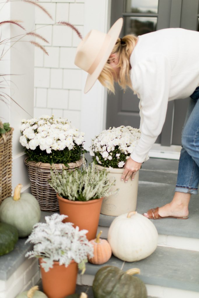 Monika Hibbs outside Potted plants and pumpkins on exterior steps