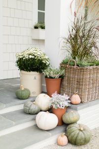 Potted plants and pumpkins on exterior steps
