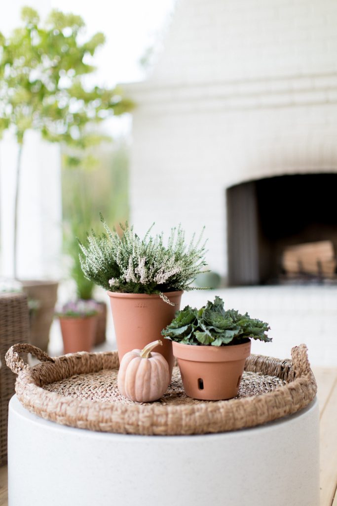 white brick outdoor fireplace pumpkin and potted plants