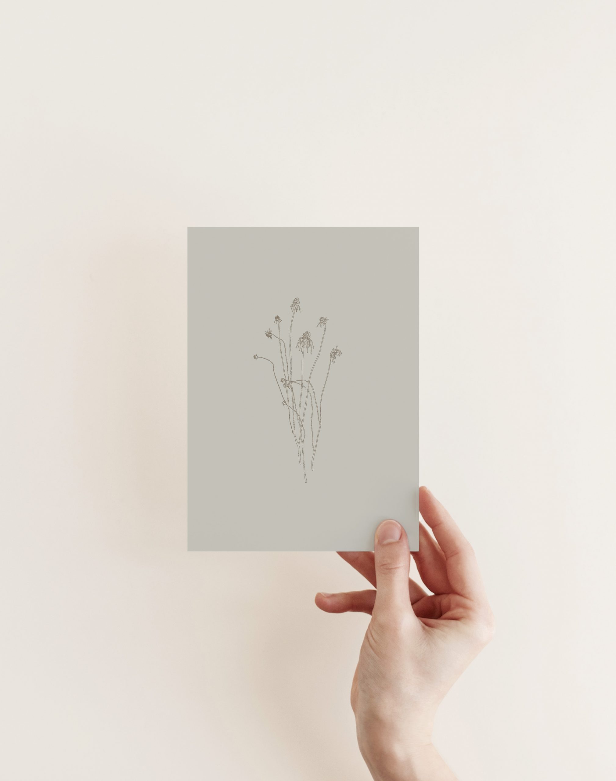 Echinacea-in-Gray-Print