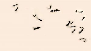 Flying Bats - The Frame