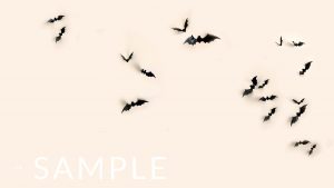 Flying-bats-samsung-sample